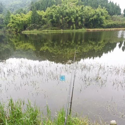 秋季垂钓经验技巧总结（享受秋日的钓鱼乐趣）