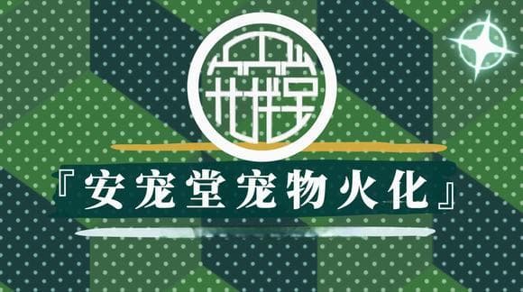 如何选择合适的宠物火化殡葬店？去实体店前的准备工作指南