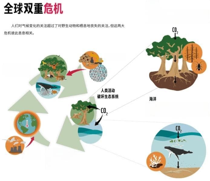 生物多样性助力碳中和，这些城市建筑做了好榜样