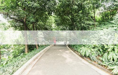 同事离职送什么礼物：贴心建议与考虑