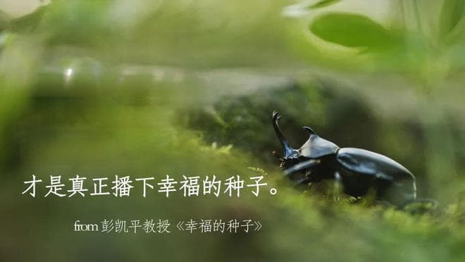 幸福的种子：积极情绪与消极情绪