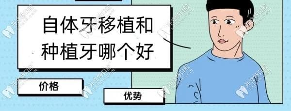 自体牙移植与种植牙哪个好?看完区别我选寿命长/成活率高的