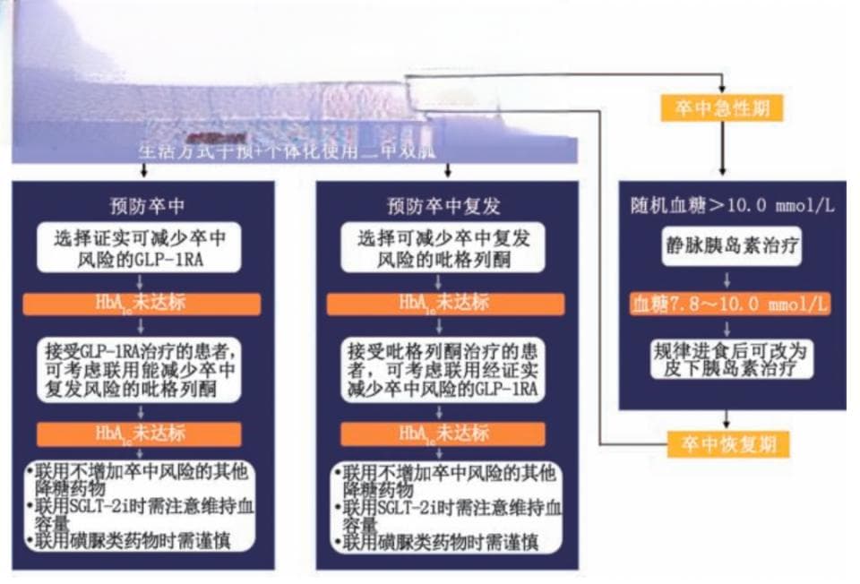 2型糖尿病患者卒中预防及管理：血糖管理+卒中危险因素的管理