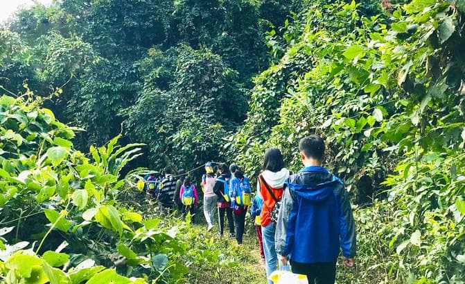 西双版纳四日游：从植物园到野象谷的深度游玩攻略