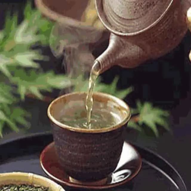 《骆驼祥子》中的曹先生：一个深受尊敬的知识分子形象