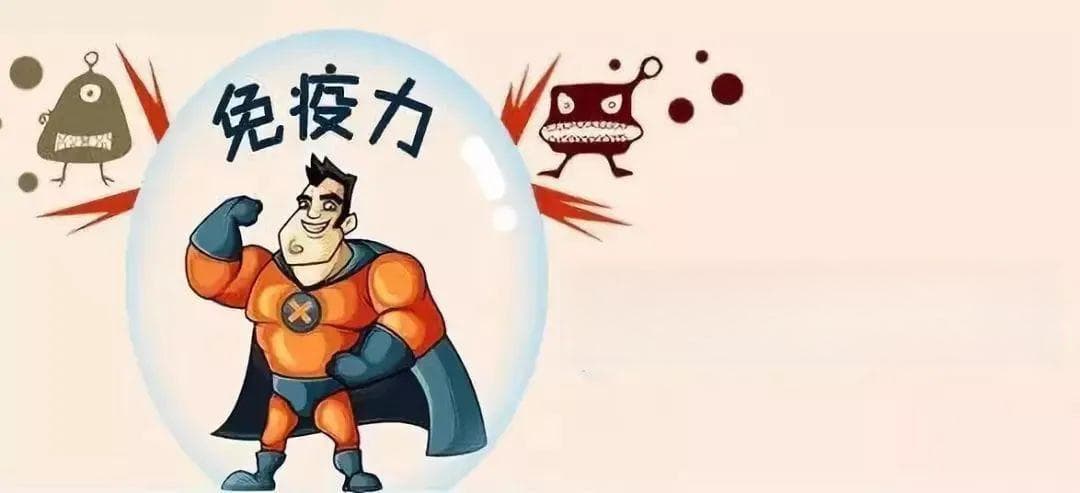 免疫力是最好的医生，如何通过饮食增强它？