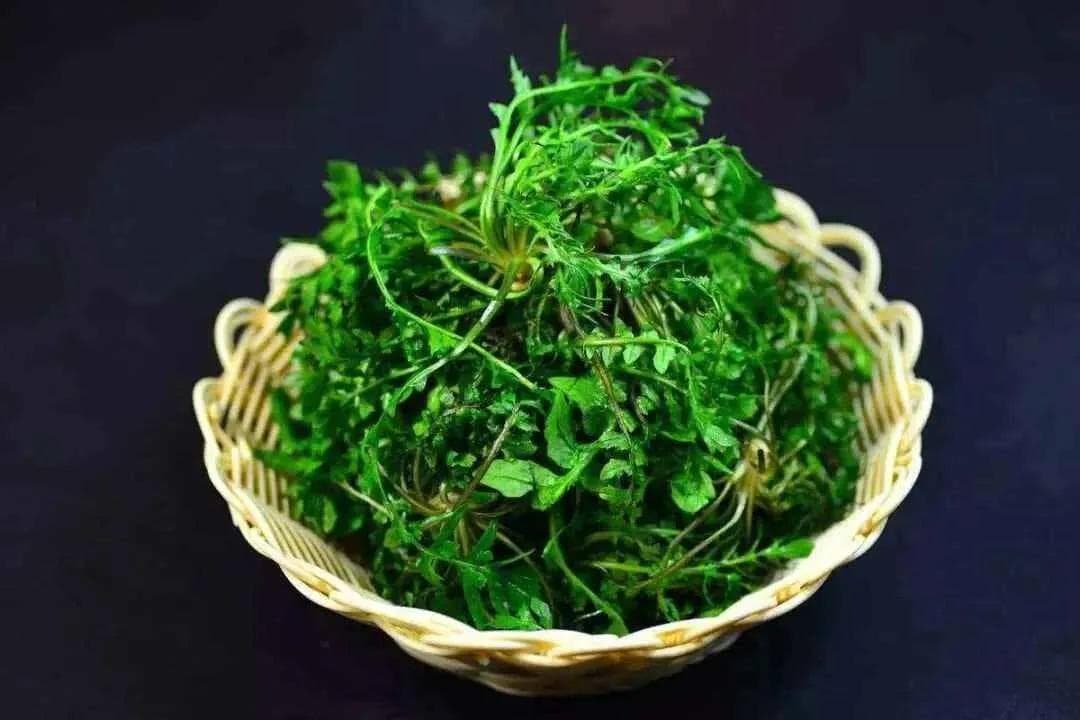 台州人的春天，就好这一口