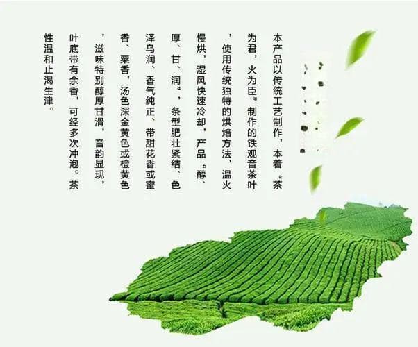 铁观音适合什么人喝？谁该品饮，谁需谨慎？一文读懂适宜人群！