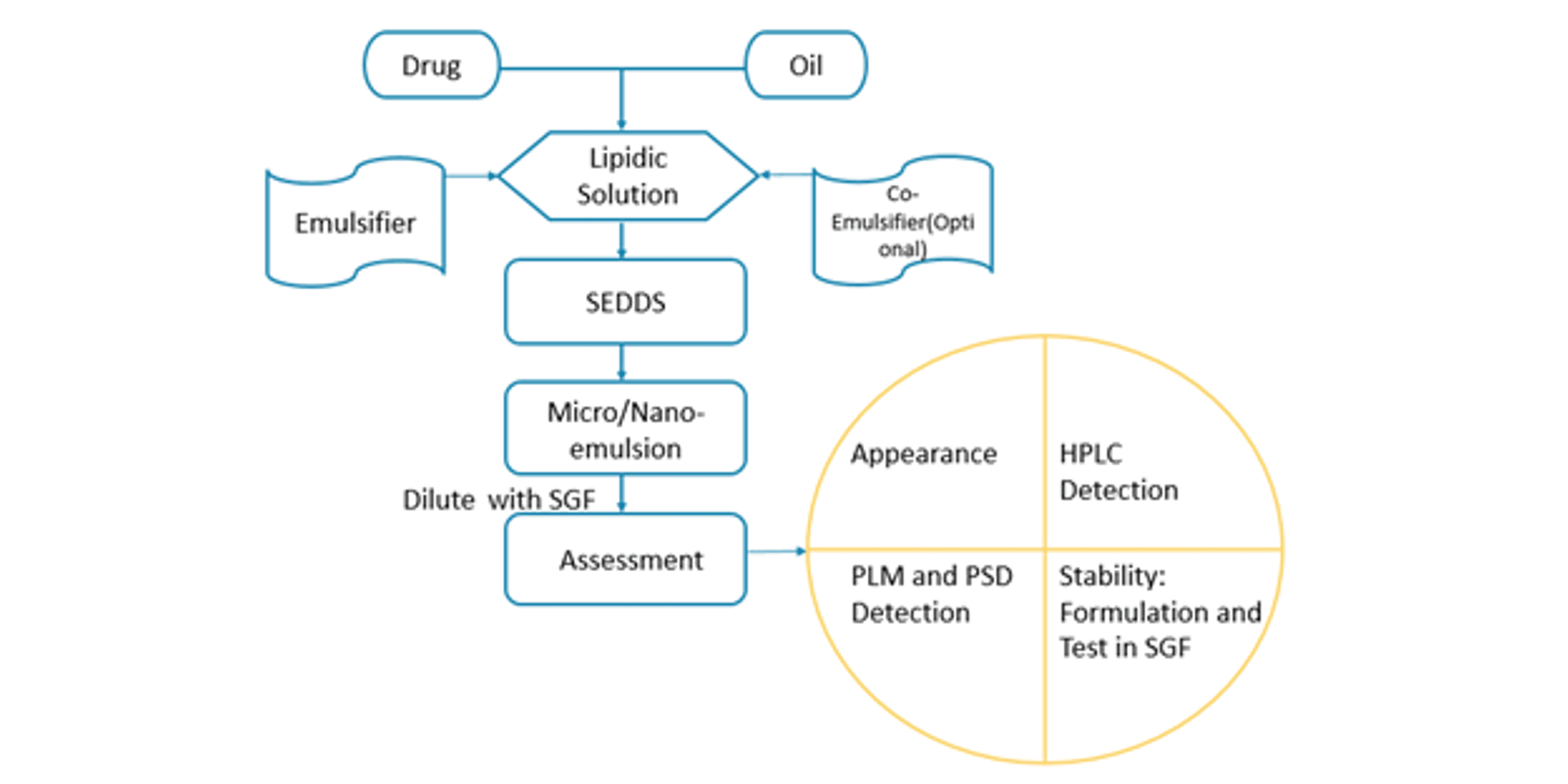 自乳化技术SEDDS：促进亲脂性化合物体内吸收