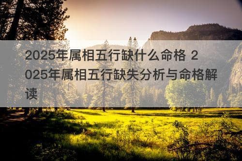 2025年属相五行缺什么命格 2025年属相五行缺失分析与命格解读