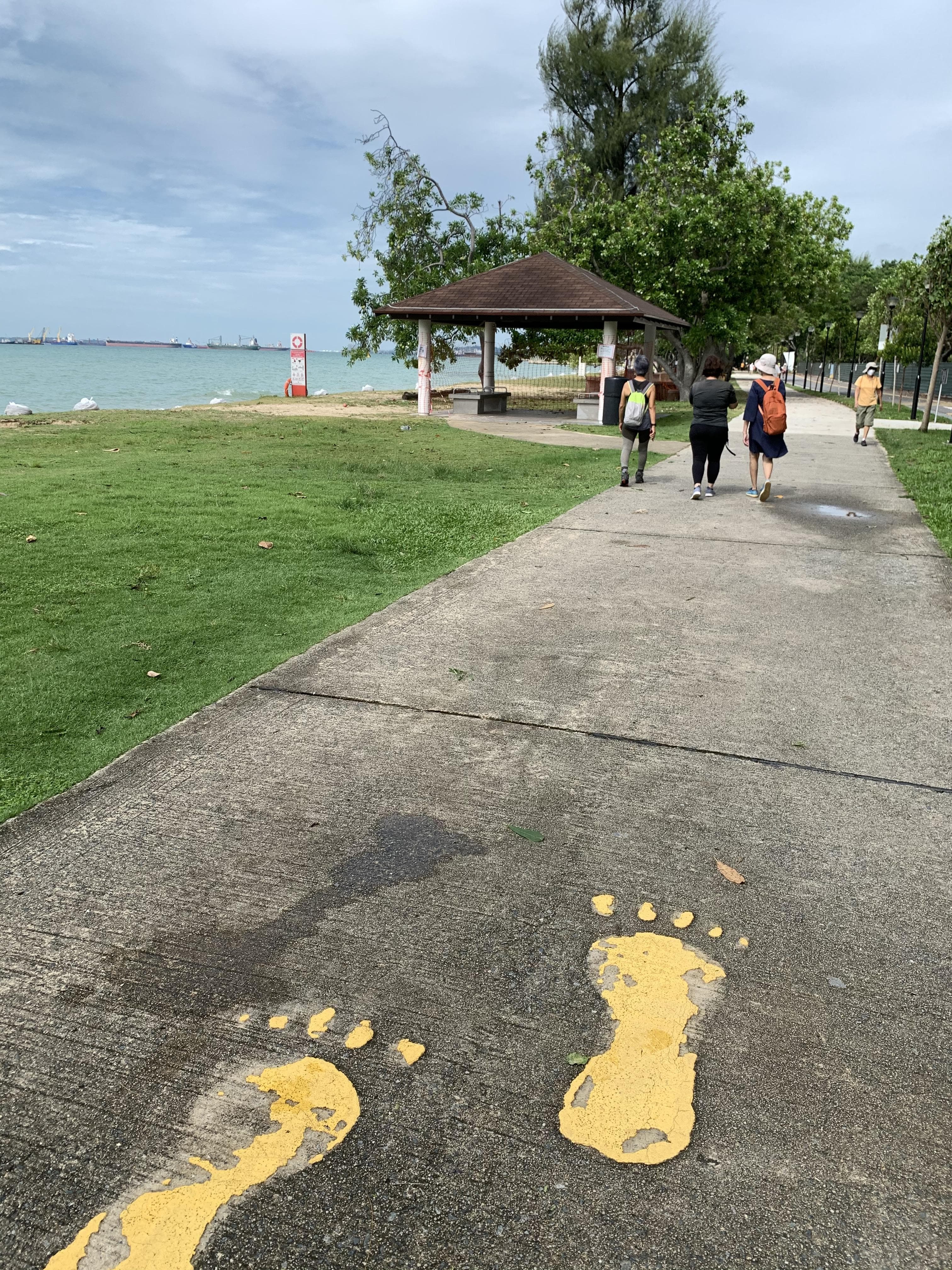 iWalk 2024：步行缓解膝关节炎