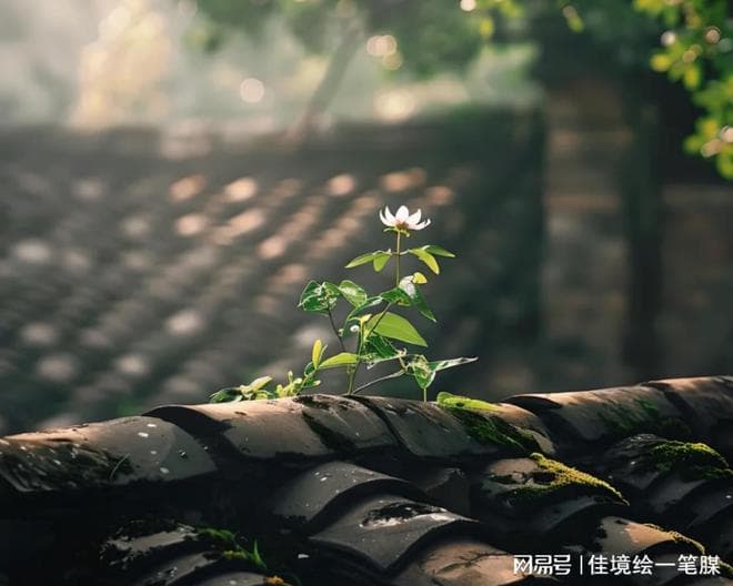 美好时光：岁月静好，温暖如初