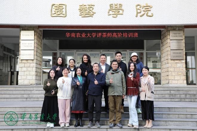 考证之路：掌握茶叶拼配技术，成为国家二级至一级高级评茶师