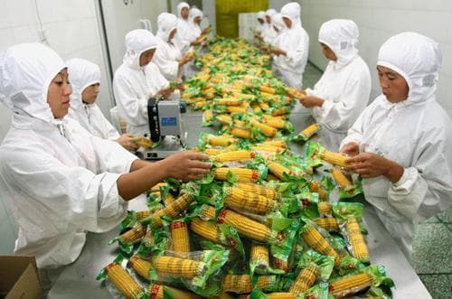 玉米深加工产品有哪些