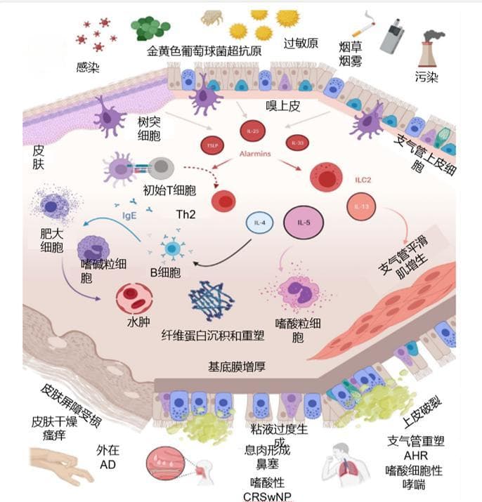 用了可吸收线皮肤手术缝合就一定更好吗？