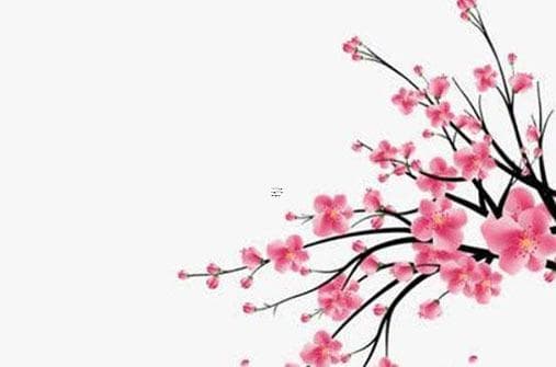 情侣默契大考验100题：提升感情的趣味游戏