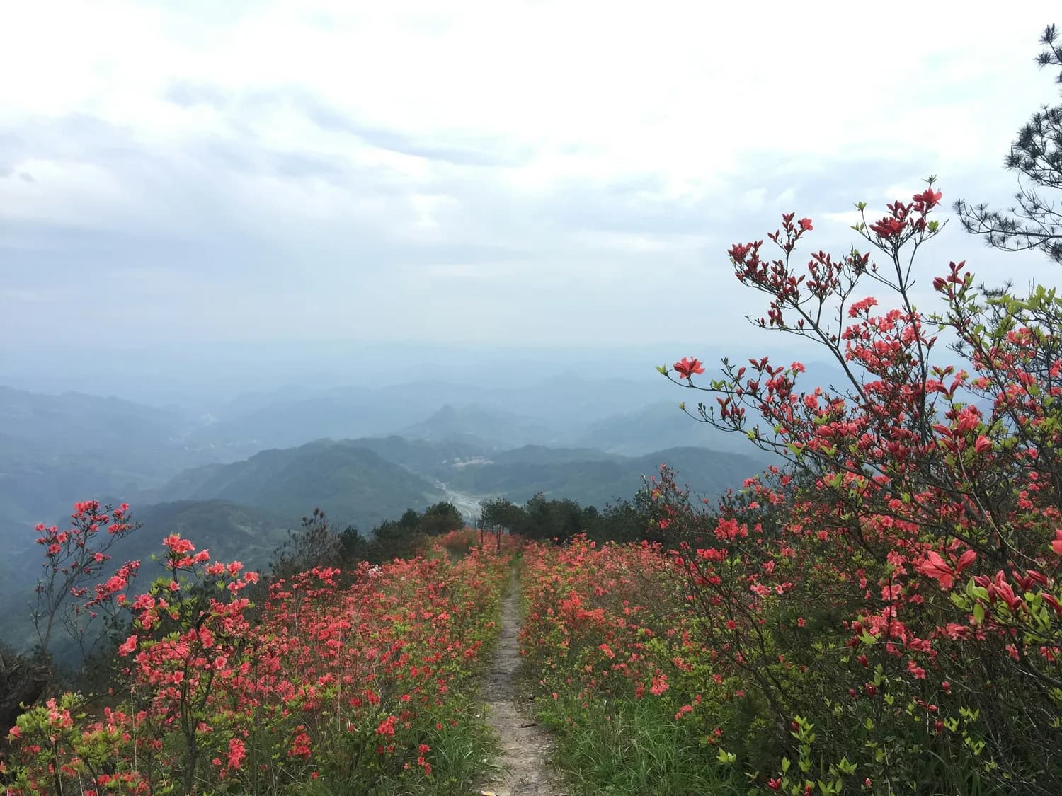 徒步旅行：释放身心的新方式