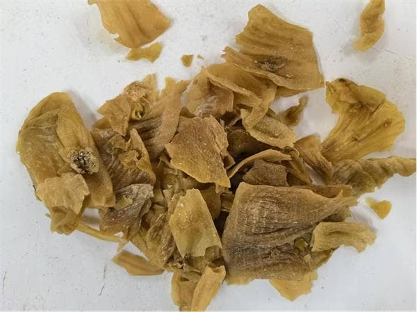 常用中药100味｜鸡内金：小小鸡胃里的养生智慧