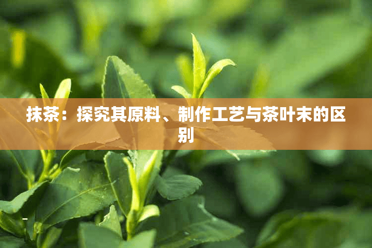 抹茶：探究其原料、制作工艺与茶叶末的区别