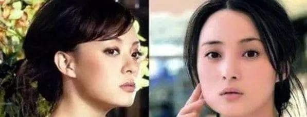 孙俪与蒋勤勤：演艺圈的"异母姐妹"与各自的传奇