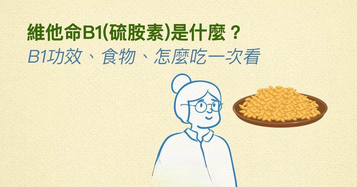 维生素B1（硫胺素）是什么？功效、食物来源及摄入建议全解析