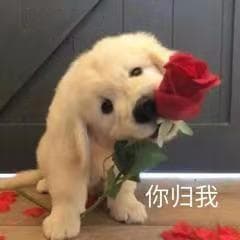 夸人漂亮只会“красивый”？万能夸夸模板码起来！