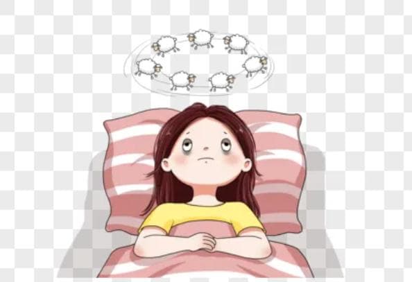 东方睡果——酸枣仁