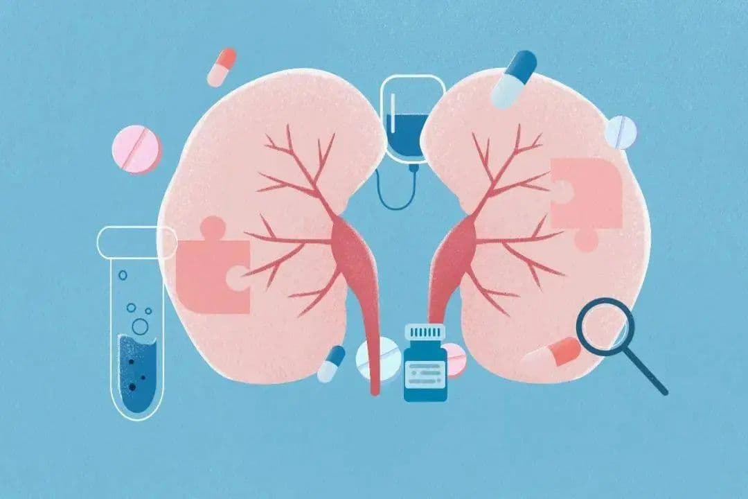 要重视牙周病和肾脏病的相互不良影响