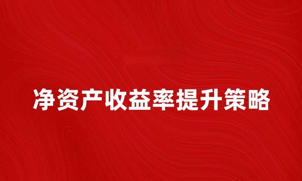 提升企业竞争力的关键：净资产收益率解析与提升策略