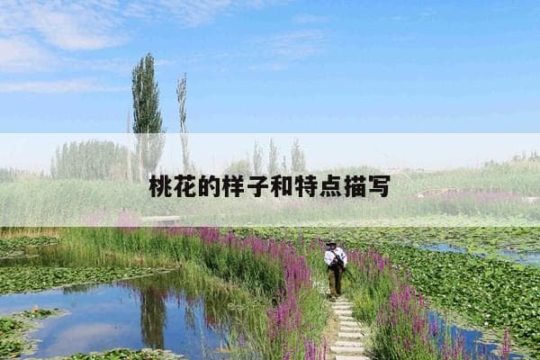 桃花的样子和特点描写
