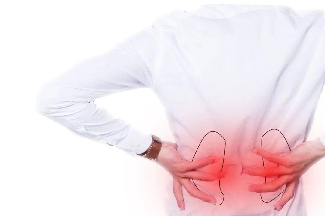 体检发现囊肿怎么办？深度解读3种常见囊肿