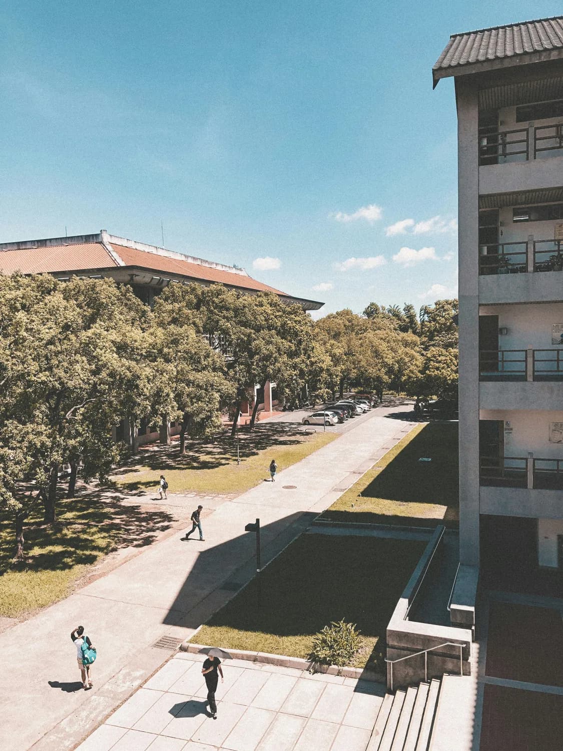 《如果有方言大学》&《影帝》：攻受双向暗恋大揭秘！