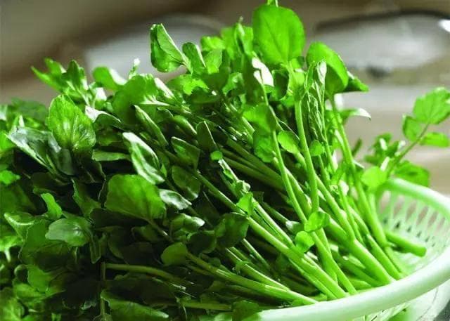 西洋菜登顶营养榜首，四种烹饪方法详解