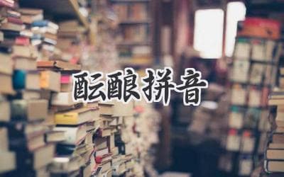 酝酿拼音背后的奥秘：解码声音的艺术