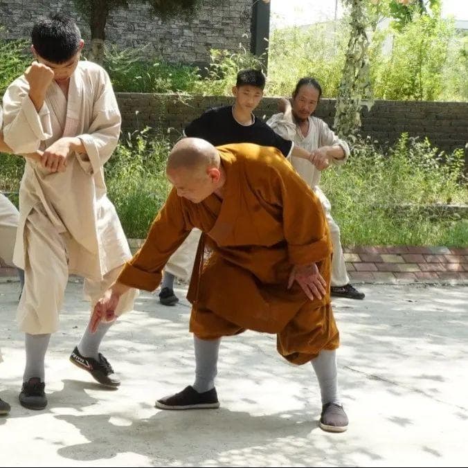 论少林功夫的形神、动静、快慢、刚柔拳法要点