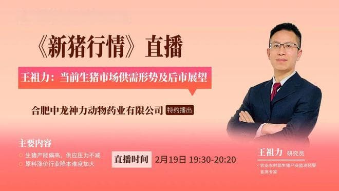 专家解析2025年猪价走势：产能偏高，切勿逆市增产能