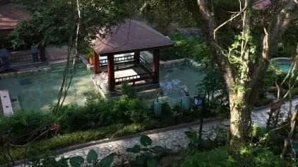 文旅与教育融合：开启研学旅行与文化培训的新篇章