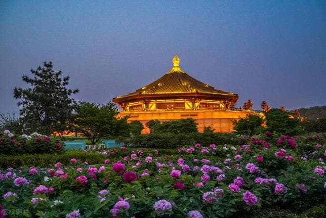 清明节三天适合去哪里旅游，这些地方，踏春正合适
