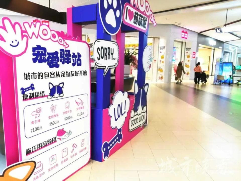 长春一大型商场允许带宠物进入