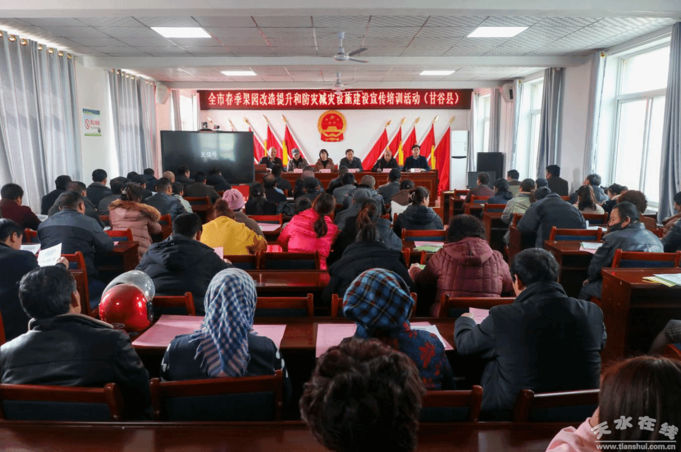 天水市精准实施果园改造提升工程擘画特色产业提质增效新篇章(图)