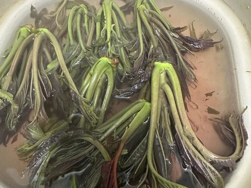 春天必吃的香椿炒豆腐，简单美味又营养