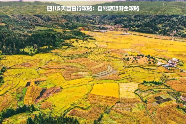 四川五天自由行攻略：穿越绿水青山，领略巴蜀文化魅力