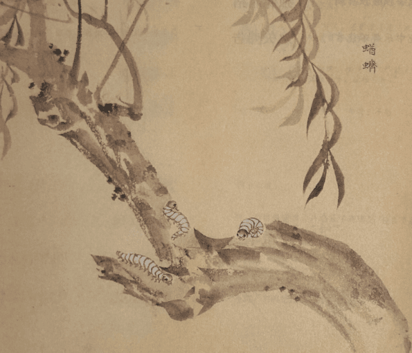 诗经·国风·卫风—— 碩人