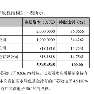 丽水国资拍卖晶圆厂股权 广芯微或成民德电子控股子公司 最新投后估值6.1亿