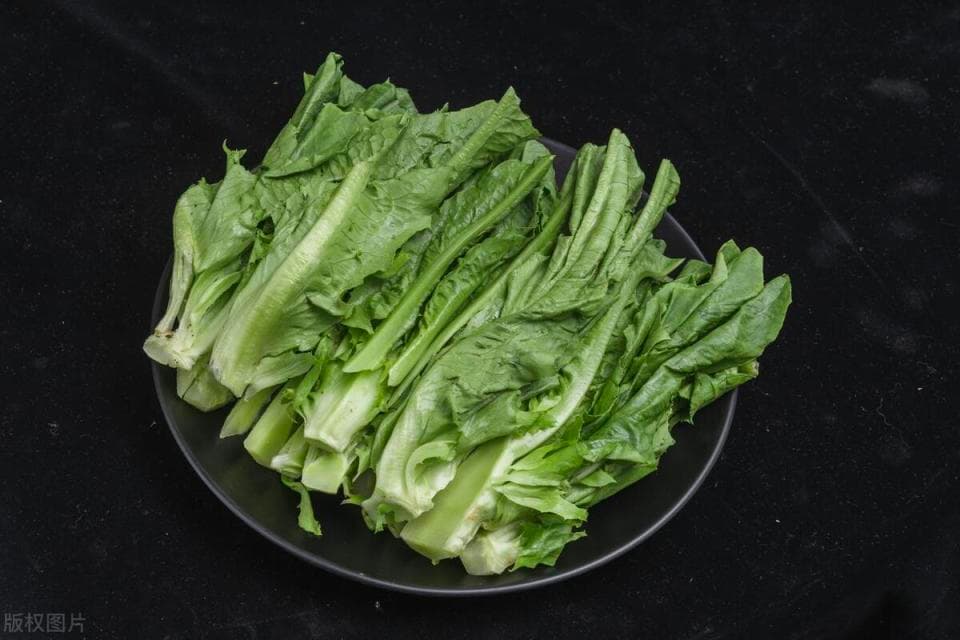 买油麦菜时，是选粗杆的还是细杆？老菜农：都不是，两者区别很大