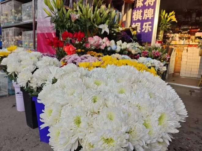 最低1元/枝，合肥不少人在买！菊花批发价创有史以来新低！