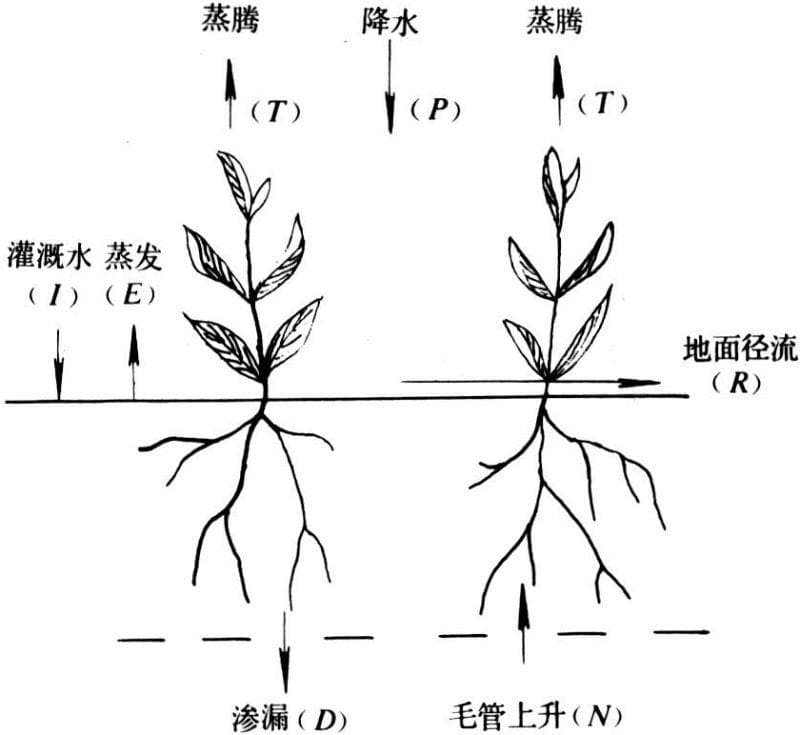 作物“喝水”不再愁，这项技术给玉米地装上“智慧水龙头”