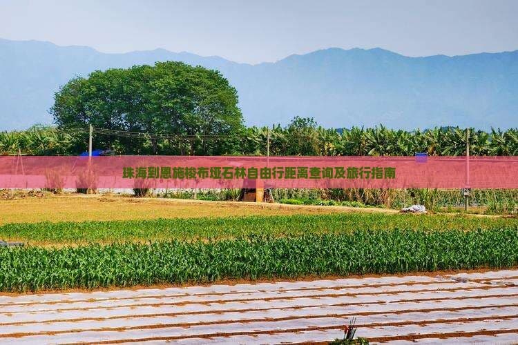 珠海到恩施梭布垭石林自由行距离查询及旅行指南