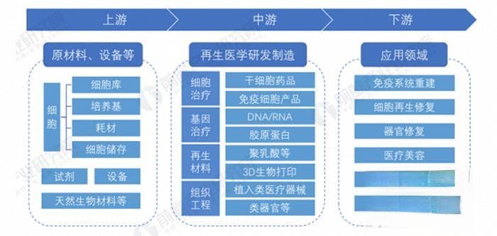美妆巨头们热捧“再生医学”，真科学还是真忽悠？