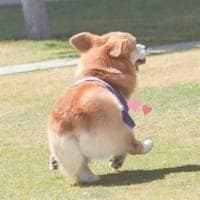 浙江音乐学院宿舍条件及综合实力介绍